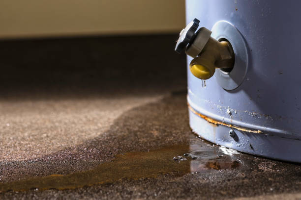 Best Mold removal after water damage  in , CT