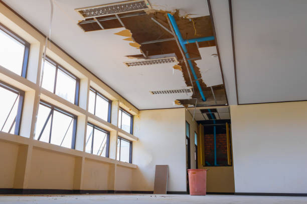 Best Ceiling water damage repair  in , CT