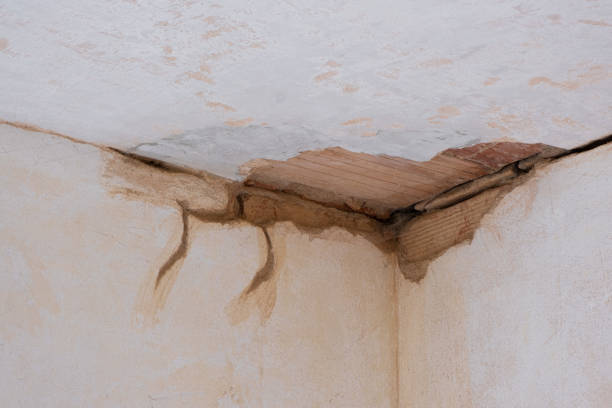 Best Water damage contractors near me  in , CT