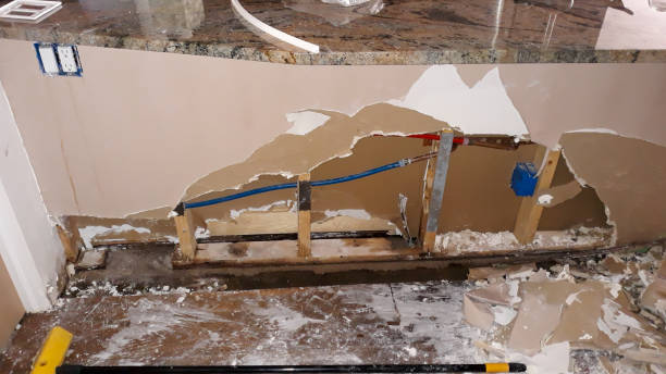 Best Sewage cleanup and water damage restoration  in , CT