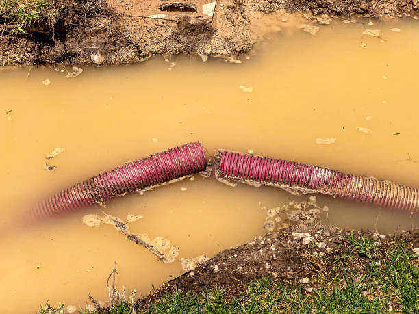 Best Carpet water damage restoration  in , CT
